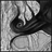 small anima thumb